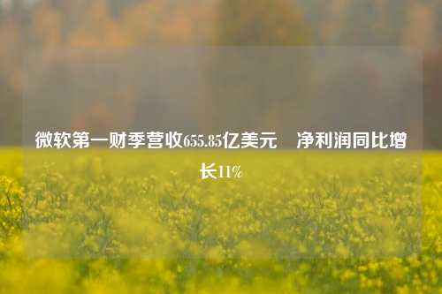 微软第一财季营收655.85亿美元 净利润同比增长11%