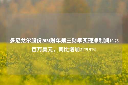 多尼戈尔股份2024财年第三财季实现净利润16.75百万美元，同比增加2179.97%