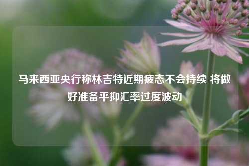 马来西亚央行称林吉特近期疲态不会持续 将做好准备平抑汇率过度波动