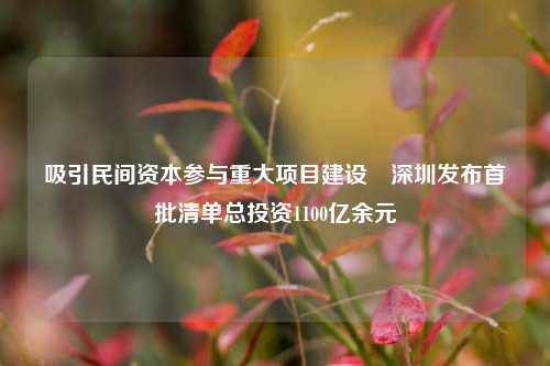 吸引民间资本参与重大项目建设　深圳发布首批清单总投资1100亿余元