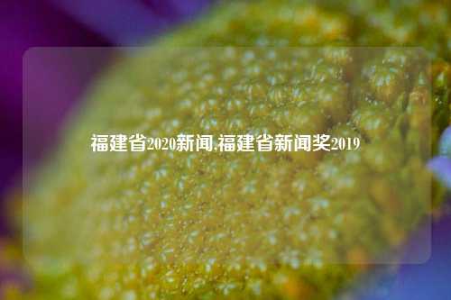 福建省2020新闻,福建省新闻奖2019