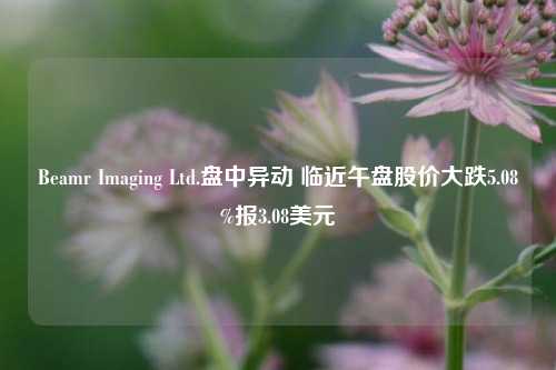 Beamr Imaging Ltd.盘中异动 临近午盘股价大跌5.08%报3.08美元