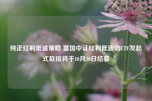 纯正红利低波策略 富国中证红利低波动ETF发起式联接将于10月30日结募