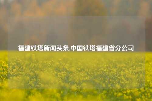 福建铁塔新闻头条,中国铁塔福建省分公司