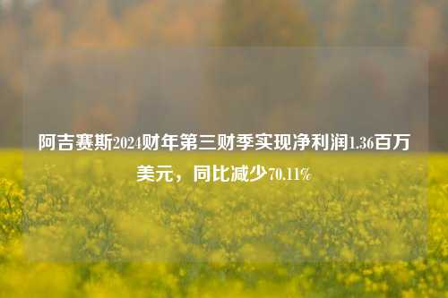 阿吉赛斯2024财年第三财季实现净利润1.36百万美元，同比减少70.11%