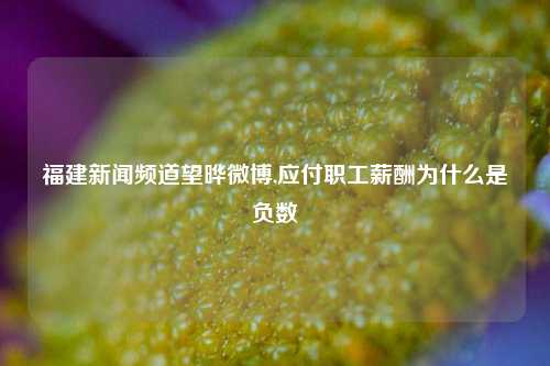 福建新闻频道望晔微博,应付职工薪酬为什么是负数