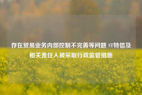 存在贸易业务内部控制不完善等问题 ST特信及相关责任人被采取行政监管措施