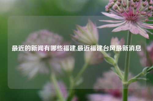 最近的新闻有哪些福建,最近福建台风最新消息