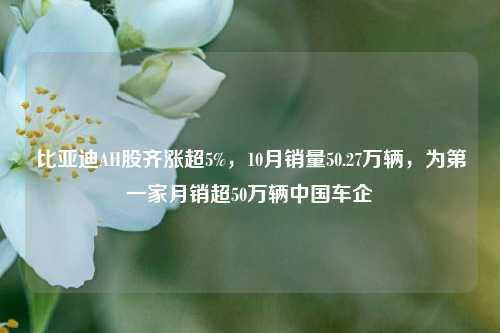 比亚迪AH股齐涨超5%，10月销量50.27万辆，为第一家月销超50万辆中国车企