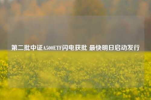 第二批中证A500ETF闪电获批 最快明日启动发行