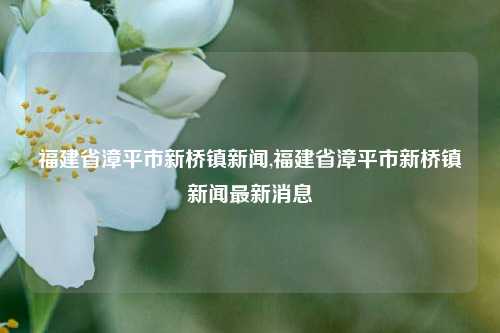 福建省漳平市新桥镇新闻,福建省漳平市新桥镇新闻最新消息