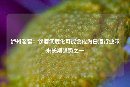 泸州老窖：饮酒低度化可能会成为白酒行业未来长期趋势之一