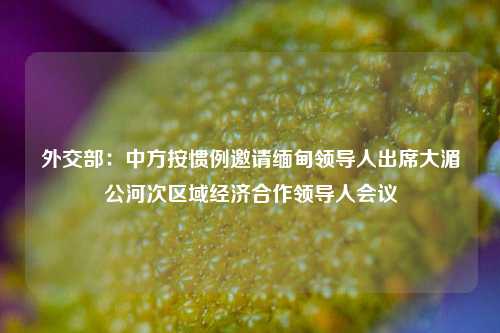 外交部：中方按惯例邀请缅甸领导人出席大湄公河次区域经济合作领导人会议