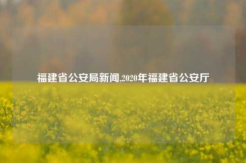 福建省公安局新闻,2020年福建省公安厅