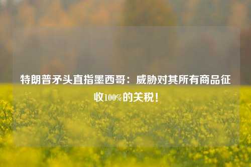 特朗普矛头直指墨西哥：威胁对其所有商品征收100%的关税！