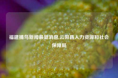 福建捕鸟新闻最新消息,云阳县人力资源和社会保障局