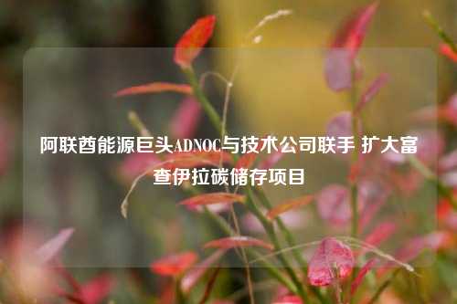 阿联酋能源巨头ADNOC与技术公司联手 扩大富查伊拉碳储存项目