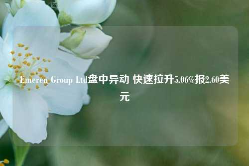 Emeren Group Ltd盘中异动 快速拉升5.06%报2.60美元