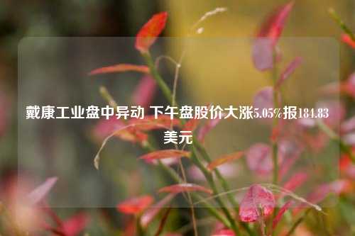 戴康工业盘中异动 下午盘股价大涨5.05%报184.83美元