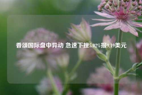 香颂国际盘中异动 急速下挫5.02%报9.19美元