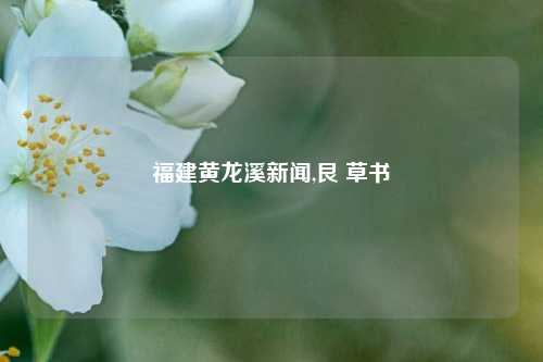 福建黄龙溪新闻,艮 草书