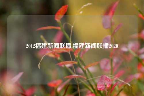 2012福建新闻联播,福建新闻联播2020