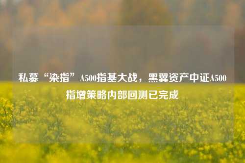 私募“染指”A500指基大战，黑翼资产中证A500指增策略内部回测已完成