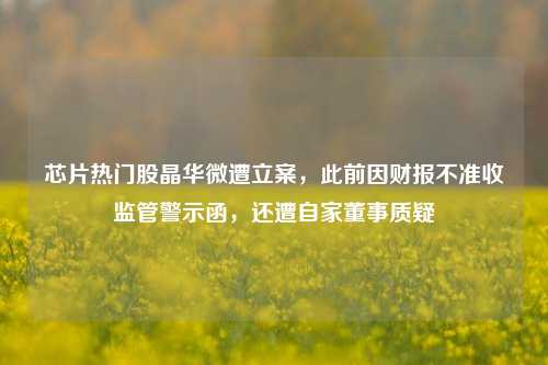 芯片热门股晶华微遭立案，此前因财报不准收监管警示函，还遭自家董事质疑-第1张图片-福建新闻网