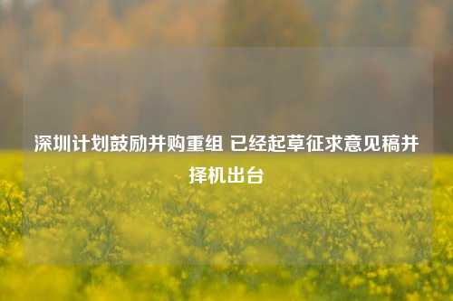 深圳计划鼓励并购重组 已经起草征求意见稿并择机出台-第1张图片-福建新闻网