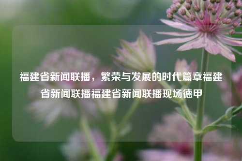 福建省新闻联播，繁荣与发展的时代篇章福建省新闻联播福建省新闻联播现场德甲-第1张图片-福建新闻网