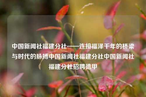 中国新闻社福建分社——连接福泽千年的桥梁与时代的脉搏中国新闻社福建分社中国新闻社福建分社招聘德甲-第1张图片-福建新闻网