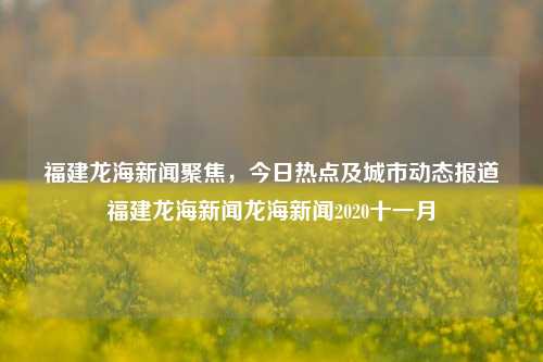 福建龙海新闻聚焦，今日热点及城市动态报道福建龙海新闻龙海新闻2020十一月-第1张图片-福建新闻网