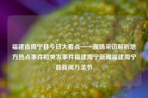 福建省周宁县今日大看点——现场采访解析地方热点事件和突发事件福建周宁新闻福建周宁县新闻万圣节-第1张图片-福建新闻网