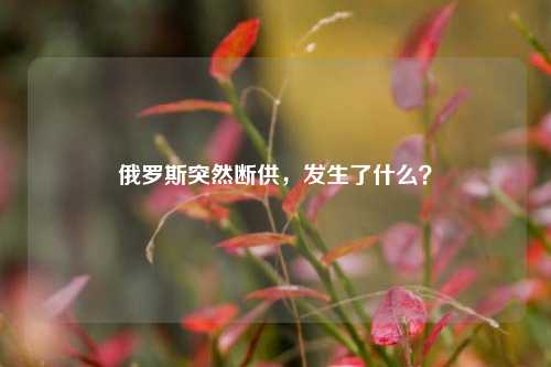 俄罗斯突然断供，发生了什么？-第1张图片-福建新闻网