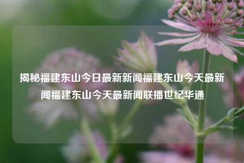 揭秘福建东山今日最新新闻福建东山今天最新闻福建东山今天最新闻联播世纪华通-第1张图片-福建新闻网