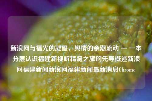 新浪网与福光的凝望，舆情的亲潮流动 — 一本分层认识福建新视听精髓之旅的先导概述新浪网福建新闻新浪网福建新闻最新消息Chrome-第1张图片-福建新闻网