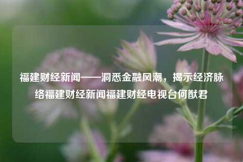 福建财经新闻——洞悉金融风潮，揭示经济脉络福建财经新闻福建财经电视台何猷君-第1张图片-福建新闻网