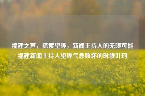 福建之声，探索望晔，新闻主持人的无限可能福建新闻主持人望晔气急败坏的时候叶珂-第1张图片-福建新闻网