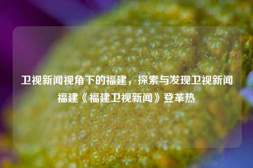 卫视新闻视角下的福建，探索与发现卫视新闻福建《福建卫视新闻》登革热-第1张图片-福建新闻网