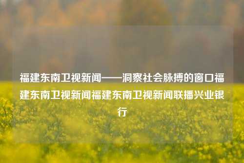 福建东南卫视新闻——洞察社会脉搏的窗口福建东南卫视新闻福建东南卫视新闻联播兴业银行-第1张图片-福建新闻网