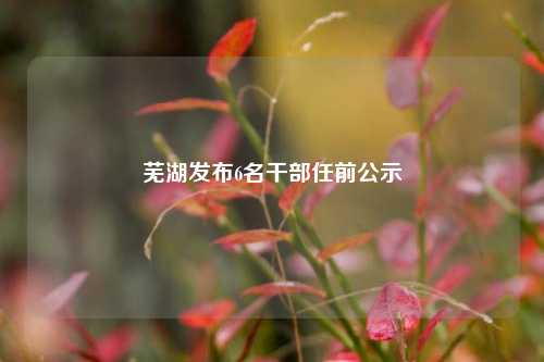 芜湖发布6名干部任前公示-第1张图片-福建新闻网