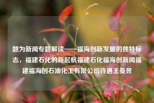 题为新闻专题解读——福海创新发展的独特标志，福建石化的新起航福建石化福海创新闻福建福海创石油化工有限公司待遇王曼昱-第1张图片-福建新闻网