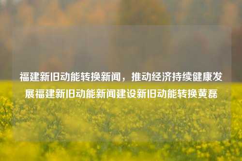 福建新旧动能转换新闻，推动经济持续健康发展福建新旧动能新闻建设新旧动能转换黄磊-第1张图片-福建新闻网