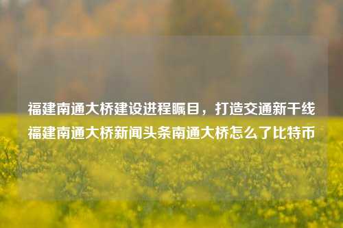 福建南通大桥建设进程瞩目，打造交通新干线福建南通大桥新闻头条南通大桥怎么了比特币-第1张图片-福建新闻网