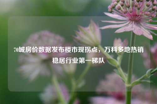 70城房价数据发布楼市现拐点，万科多地热销稳居行业第一梯队-第1张图片-福建新闻网