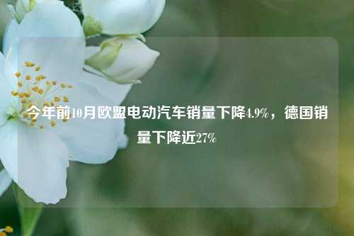 今年前10月欧盟电动汽车销量下降4.9%，德国销量下降近27%-第1张图片-福建新闻网