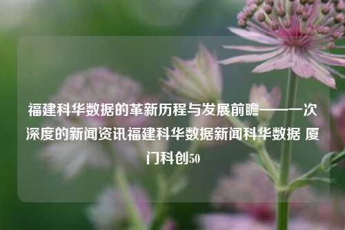 福建科华数据的革新历程与发展前瞻——一次深度的新闻资讯福建科华数据新闻科华数据 厦门科创50-第1张图片-福建新闻网