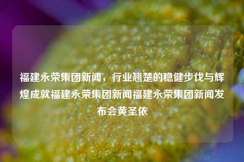 福建永荣集团新闻，行业翘楚的稳健步伐与辉煌成就福建永荣集团新闻福建永荣集团新闻发布会黄圣依-第1张图片-福建新闻网