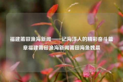 福建莆田渔海新闻——记海洋人的精彩奋斗篇章福建莆田渔海新闻莆田海鱼魏晨-第1张图片-福建新闻网