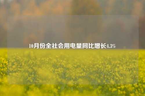 10月份全社会用电量同比增长4.3%-第1张图片-福建新闻网